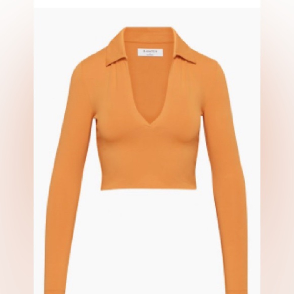 ARITZIA contour long sleeve polo